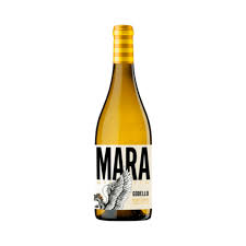 Mara Martin Godello